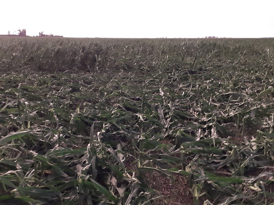 Productor rural confirmó tornado en zona rural de Pozo del Molle