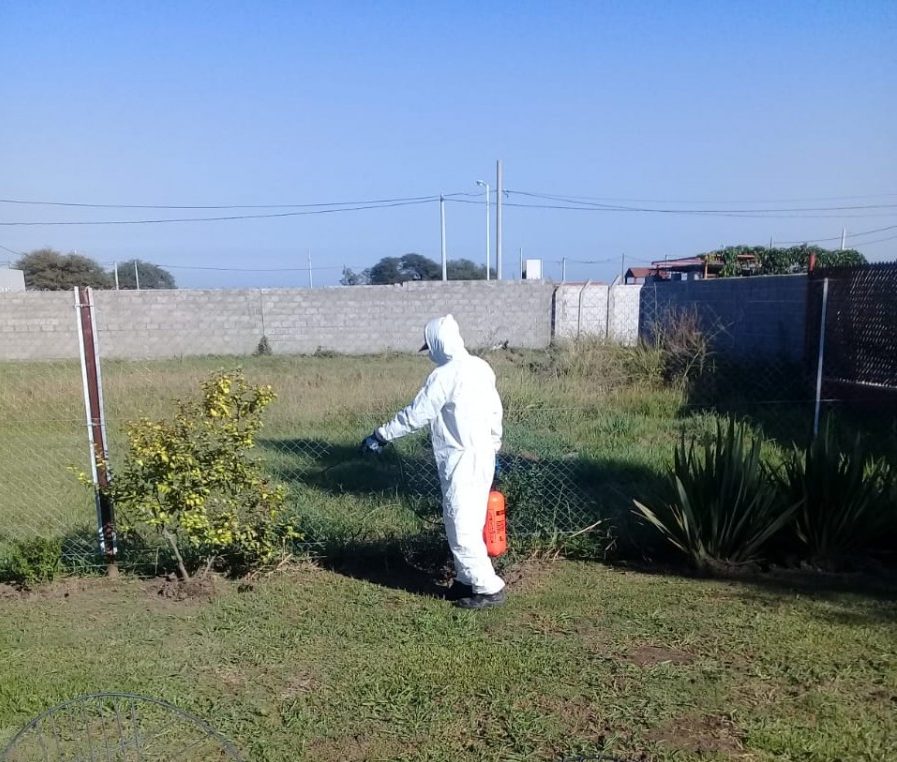 Realizarán nuevas fumigaciones para prevenir el dengue