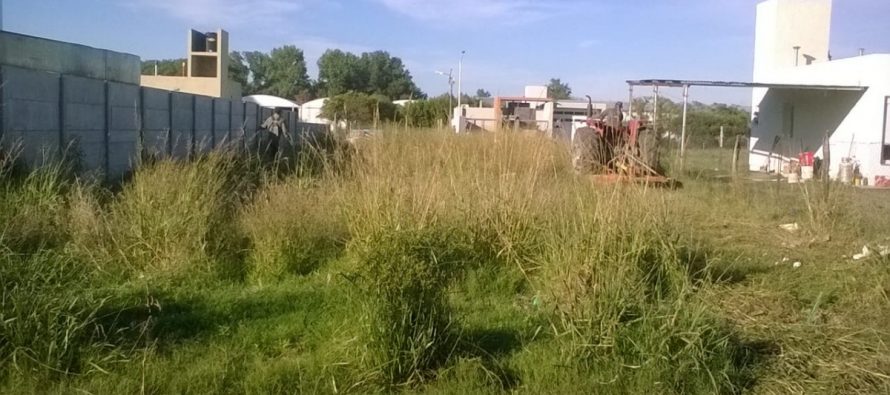 Continúan los relevamientos programados para controlar malezas