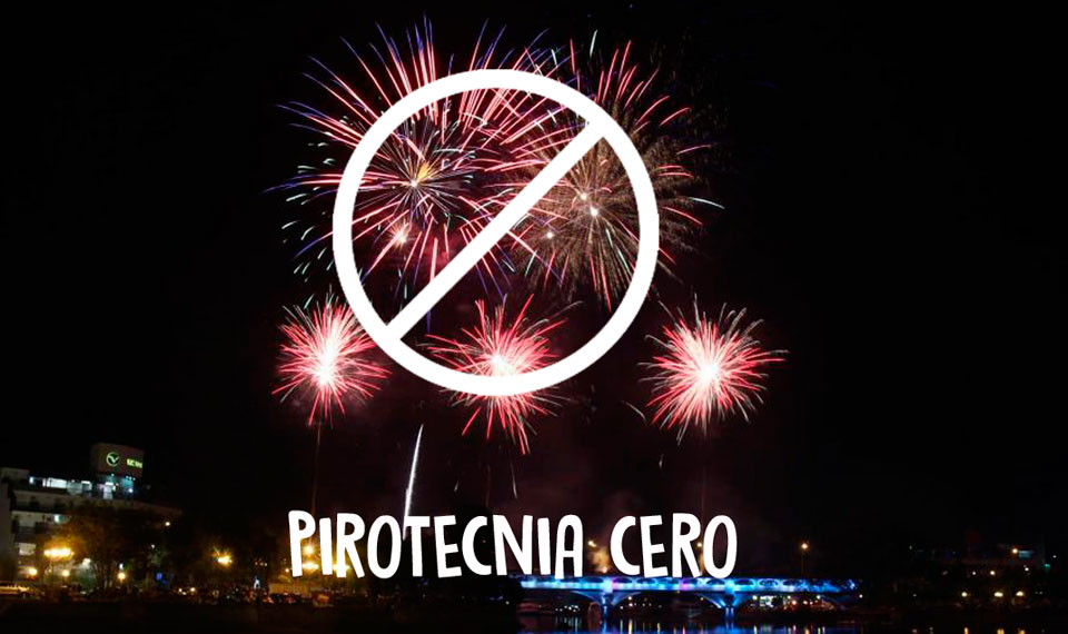 Pirotecnia Cero: fundamentos de la ordenanza aprobada en el Concejo Deliberante