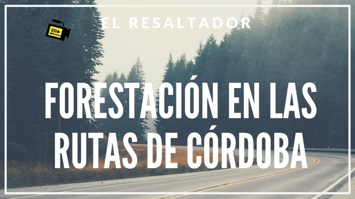 Plantarán ejemplares de plátanos en un tramo de la Ruta 13