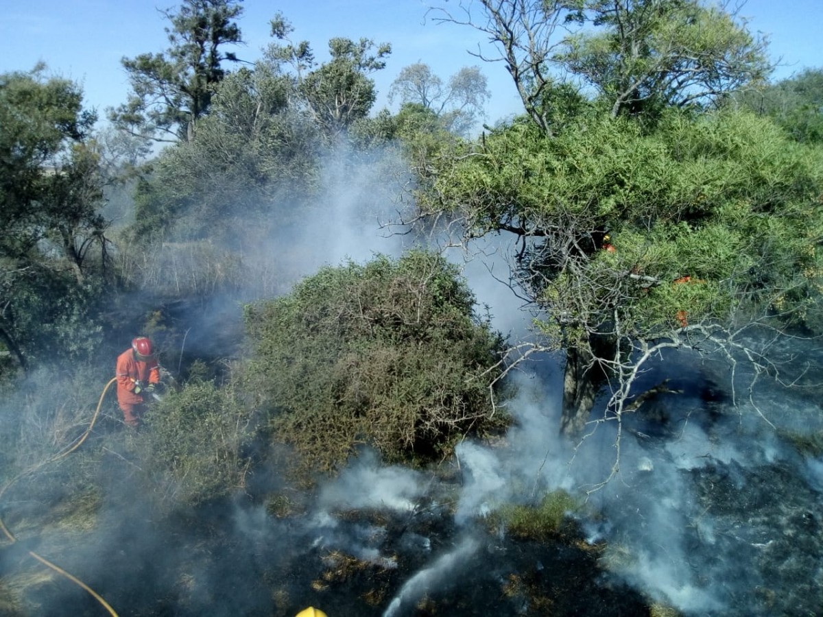 Intenso trabajo de los bomberos durante el fin de semana