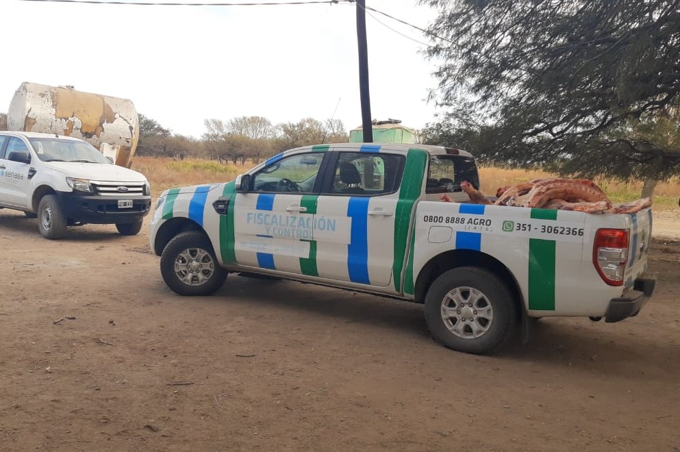 Decomisan 16 medias reses en Juárez Celman por faena clandestina