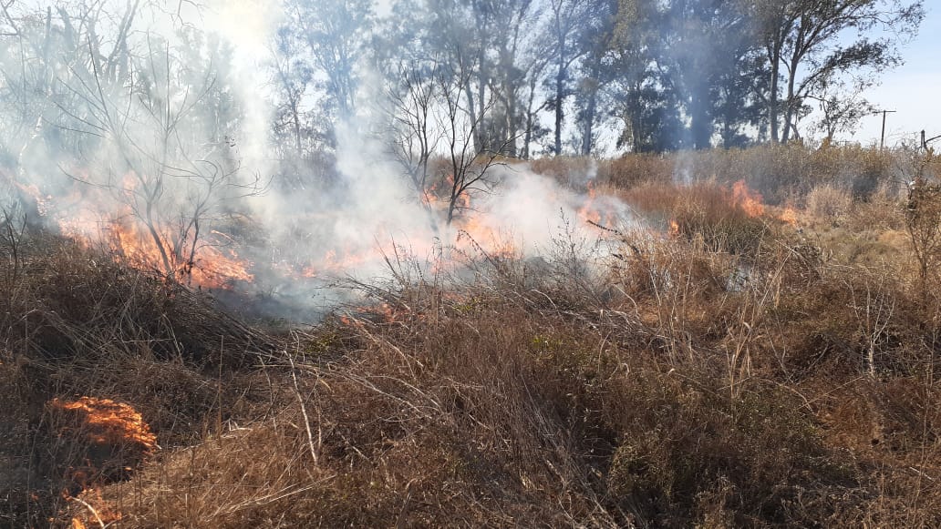 Nuevamente incendio de pastizales en zona rural