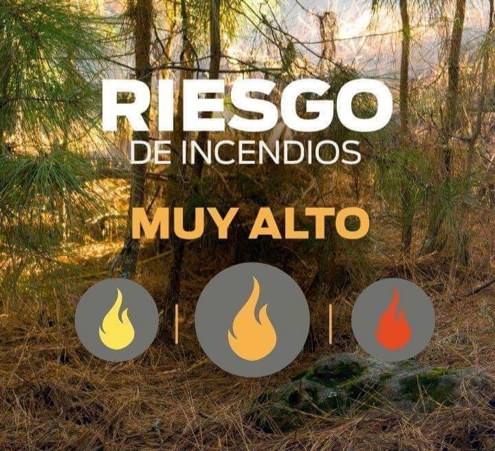 Incendio de pastizales en Ruta Provincial Nº 3
