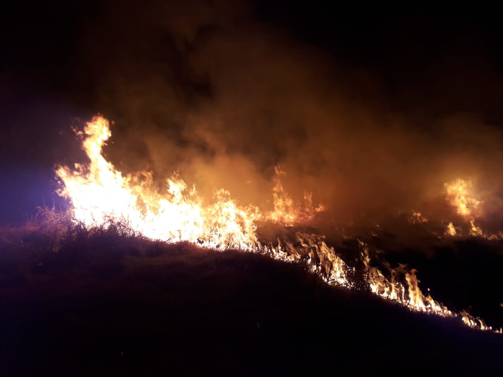 Arduo trabajo de los Bomberos Voluntarios durante este domingo