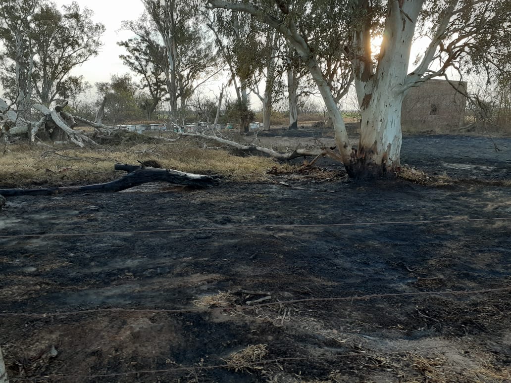Nuevamente incendio de pastizales en el mismo lugar que el ocurrido el día martes
