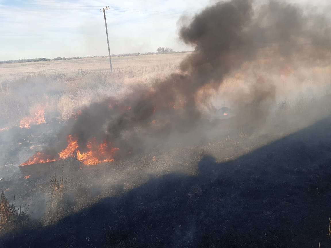 Incendio de pastizales en Ruta Provincial Nº 3