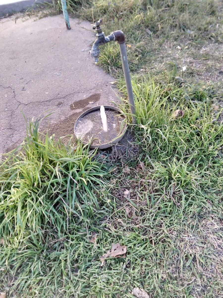 Heladón: la región bajo 0