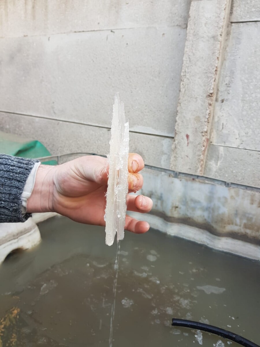 Heladón: la región bajo 0