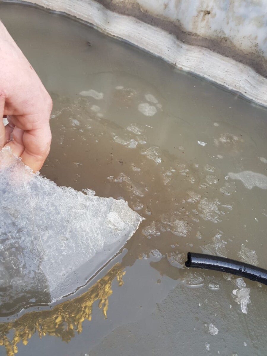 Heladón: la región bajo 0