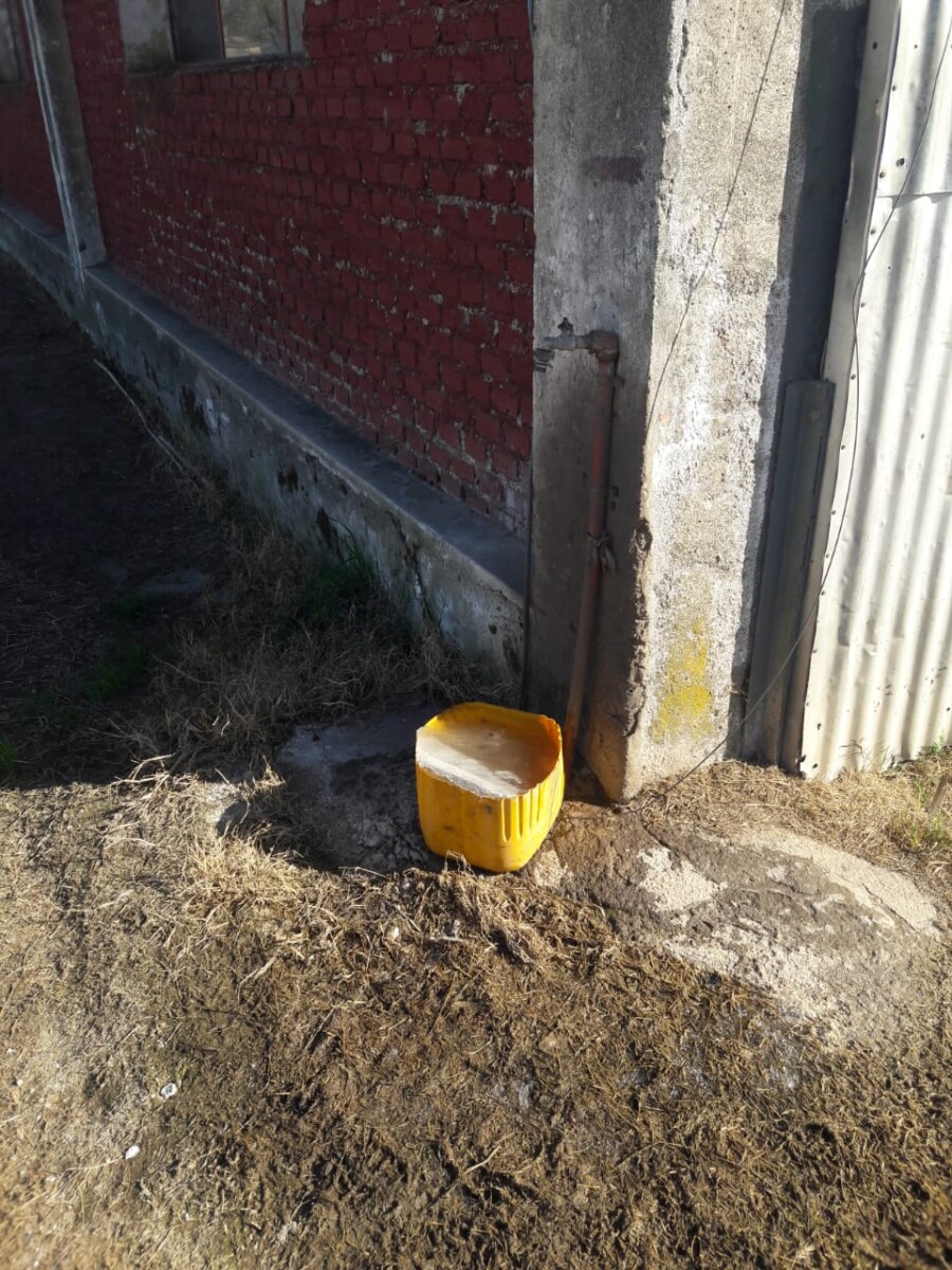 Heladón: la región bajo 0