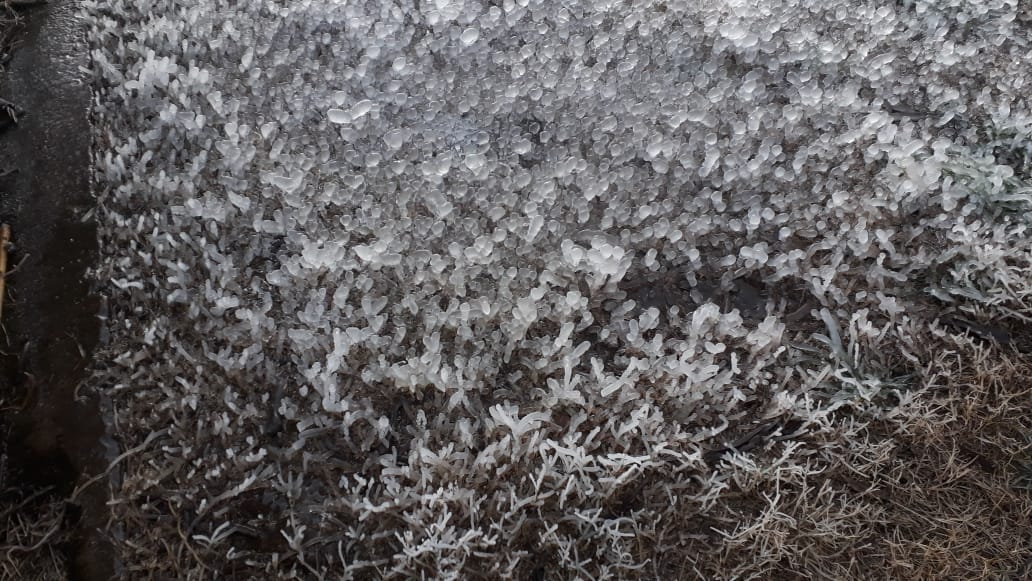 Heladón: la región bajo 0