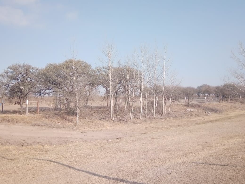 Desmonte  y alambrado de  terrenos del ex Ferrocarril Mitre