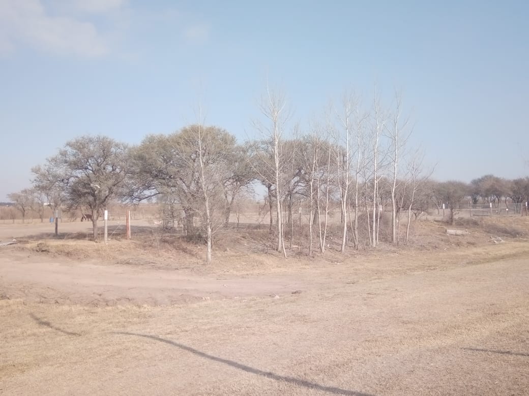 Desmonte  y alambrado de  terrenos del ex Ferrocarril Mitre