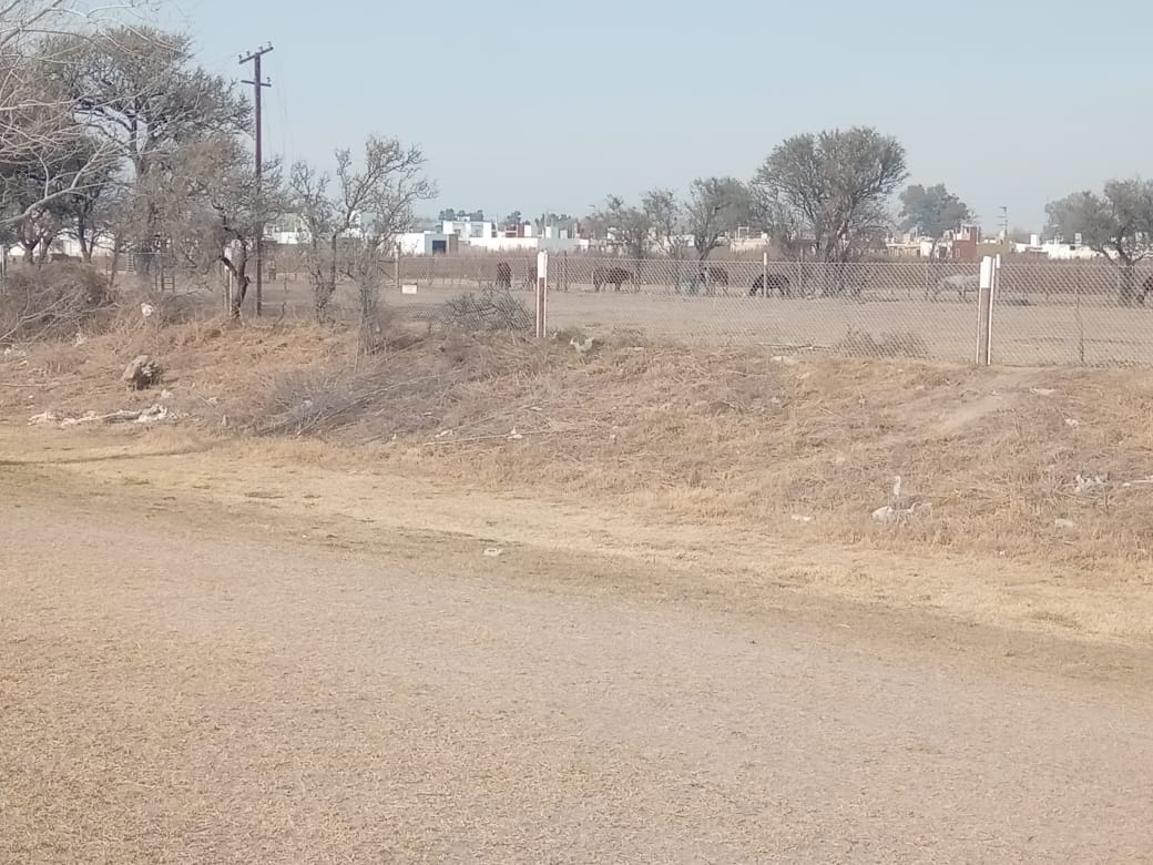 Desmonte  y alambrado de  terrenos del ex Ferrocarril Mitre