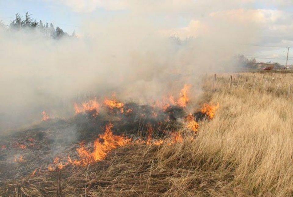 Detuvieron en El Fortín a un joven por incendio de pastizales