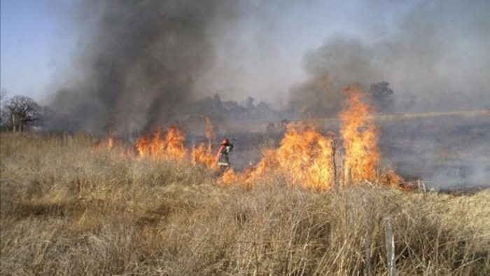 Bomberos trabajaron más de 4 horas para sofocar un incendio de pastizales