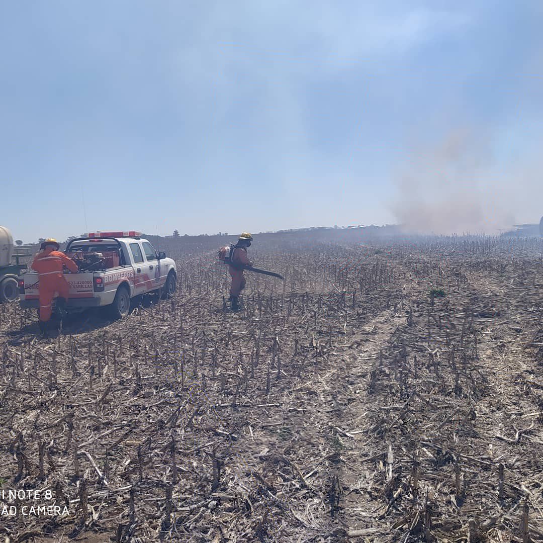 Tres dotaciones de bomberos combatieron un incendio de campo en Las Varas