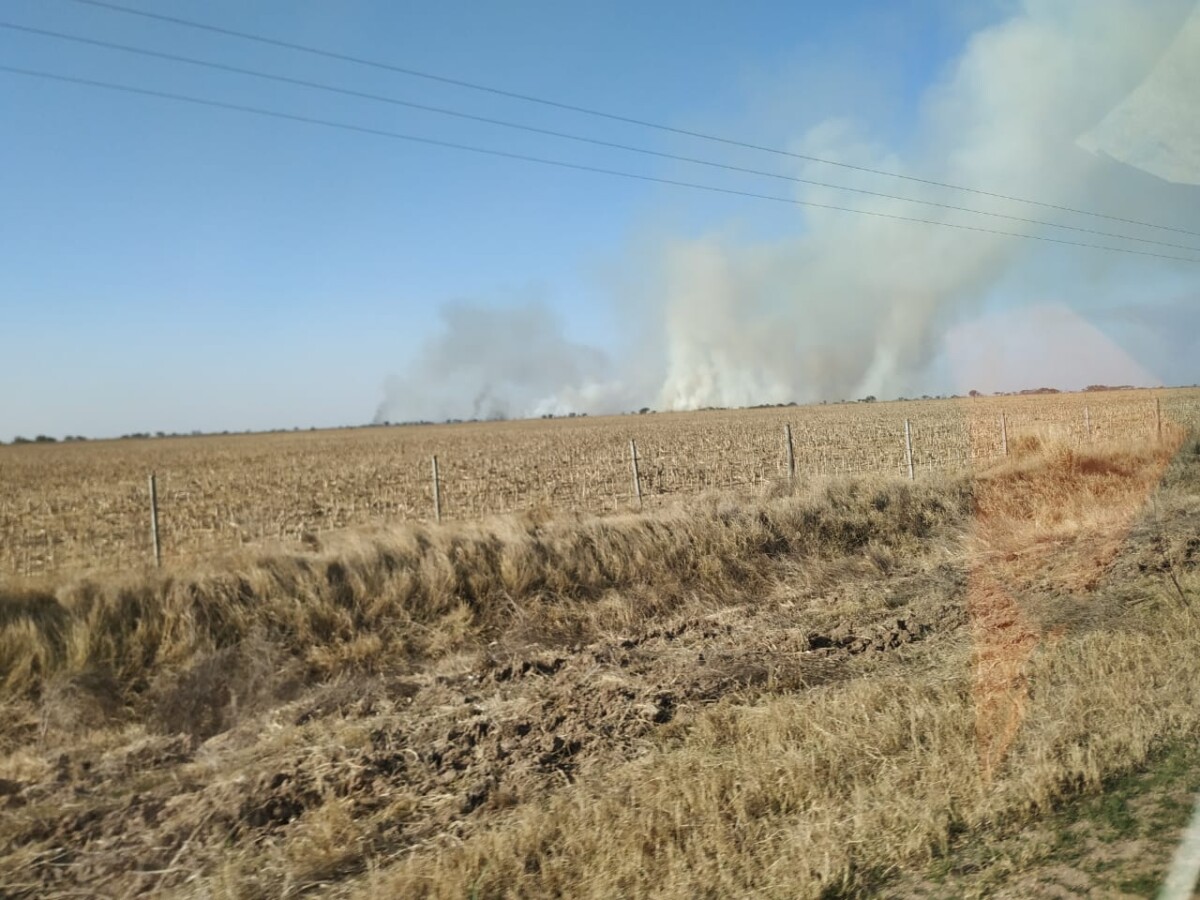 Bomberos sofocaron un incendio de 300 hectáreas en cercanías a Colonia San Bartolomé