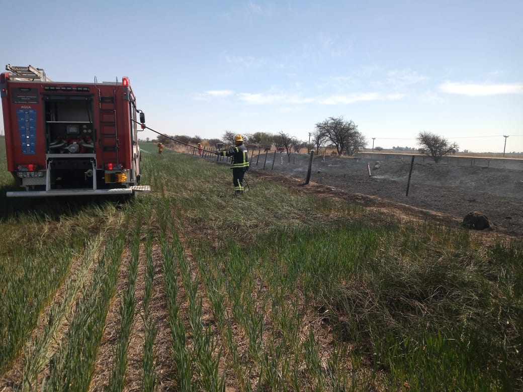 Bomberos sofocaron un incendio de 300 hectáreas en cercanías a Colonia San Bartolomé