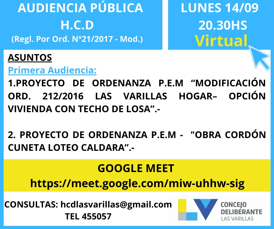 Hoy Audiencia Pública Virtual