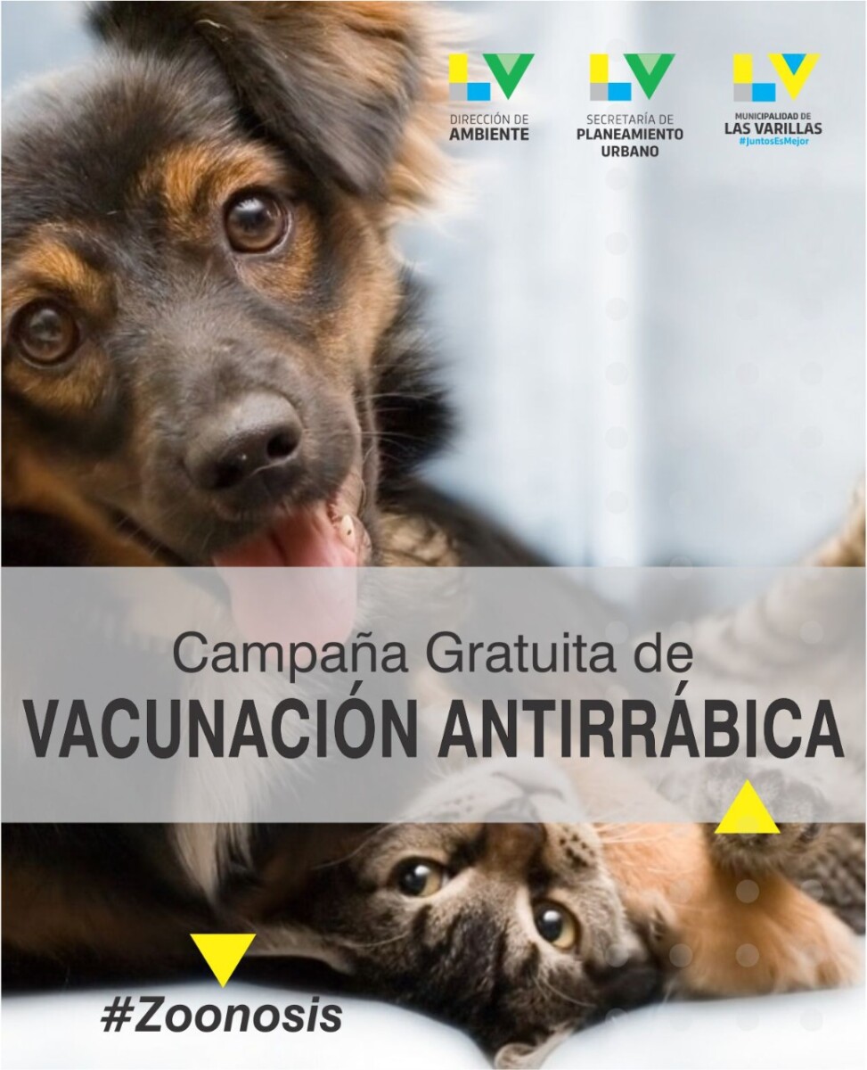 Comienza mañana una campaña de vacunación antirrábica  gratuita