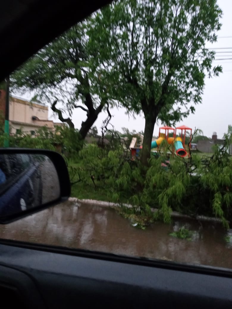 Tornado azotó la localidad de Cintra (con audio)