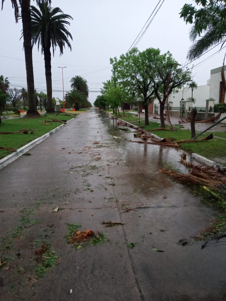Tornado azotó la localidad de Cintra (con audio)