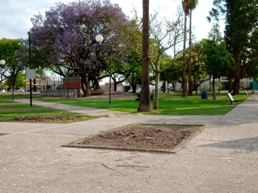 Con “la mora de la discordia” para muchos se fue parte de la historia de la ciudad