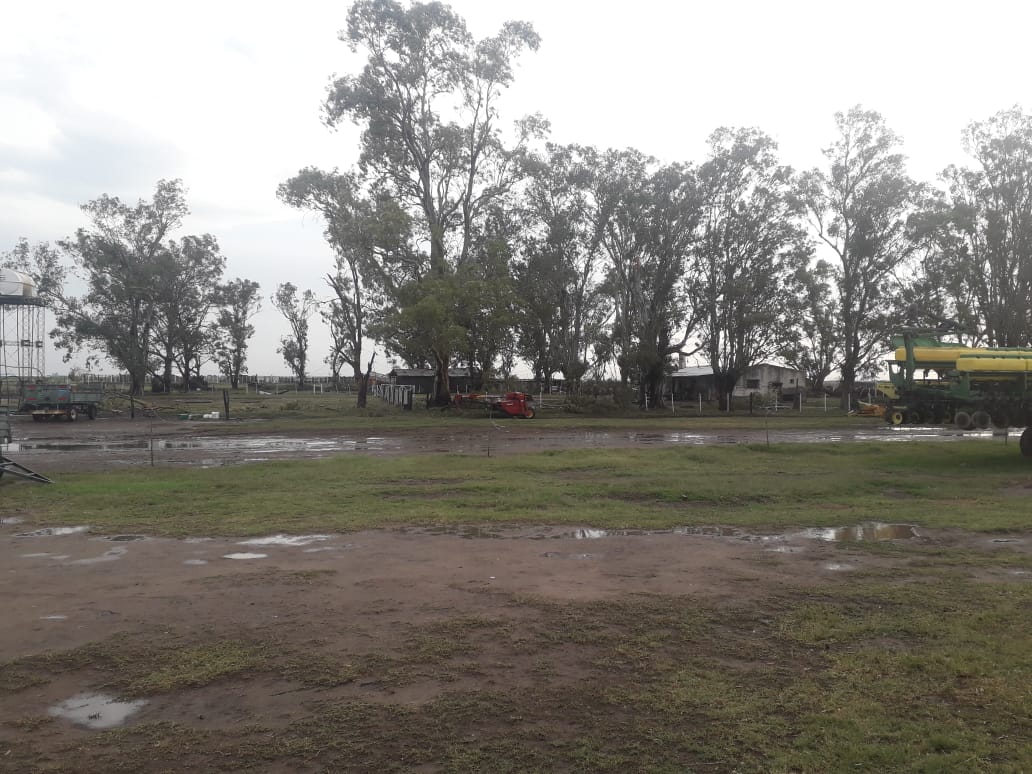 La cola de un tornado causo importantes daños en Laspiur