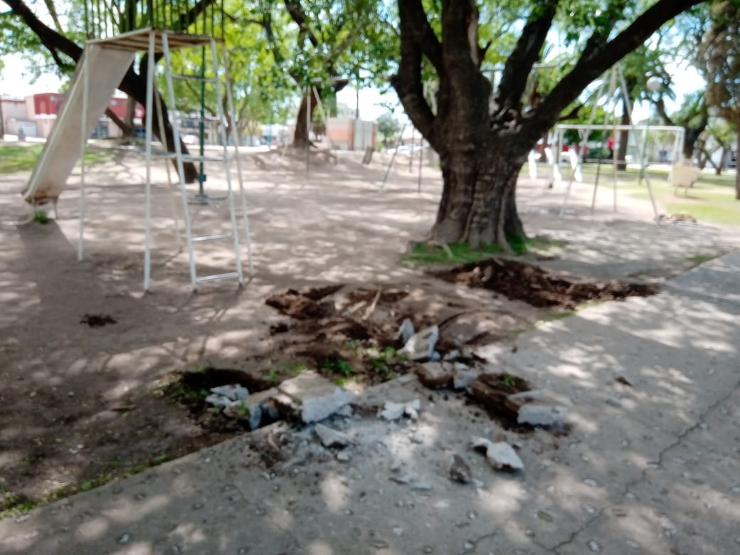 Comenzaron los trabajos de remodelación de la Plaza San Martín