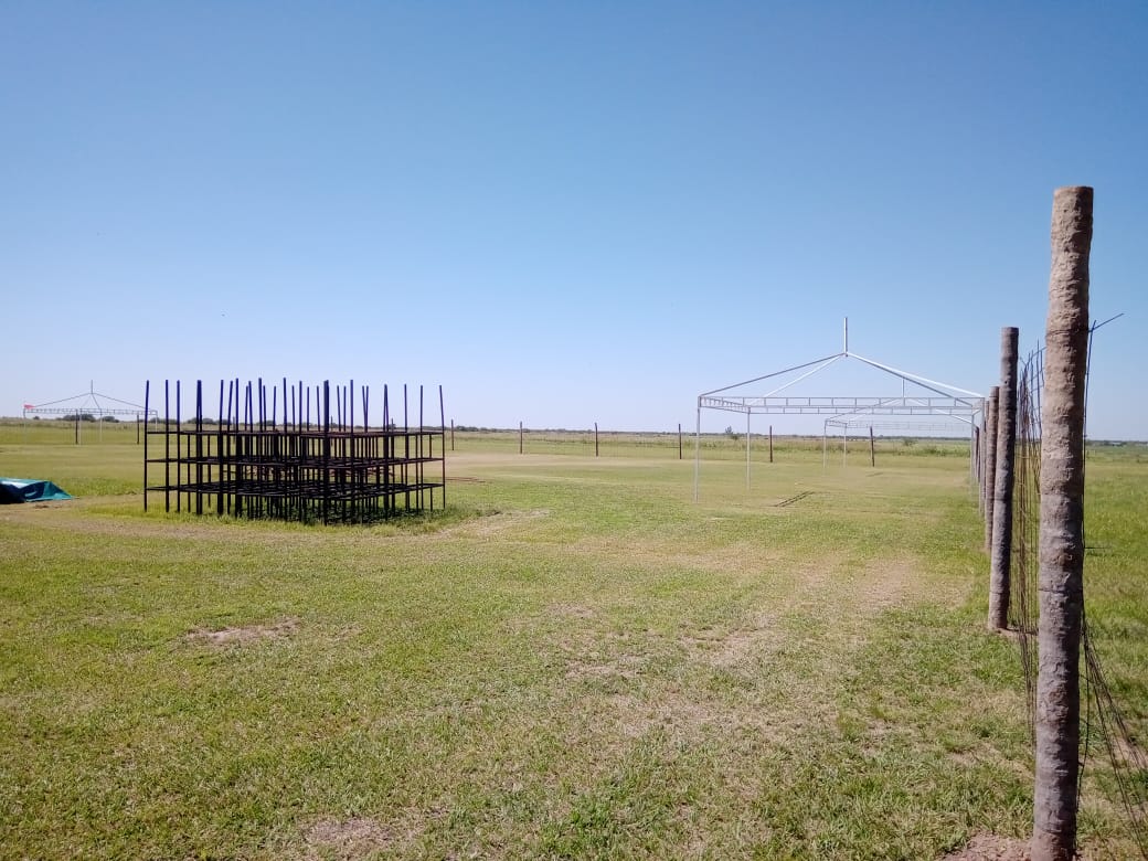 Por la decisión  del gobierno provincial tampoco habrá show en el Aeroclub