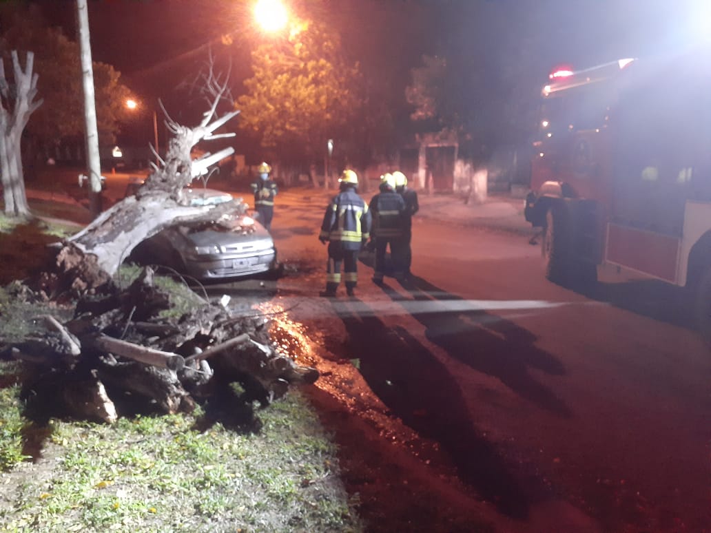 Un árbol cayó sobre un vehículo en calle Chaco de Las Varillas
