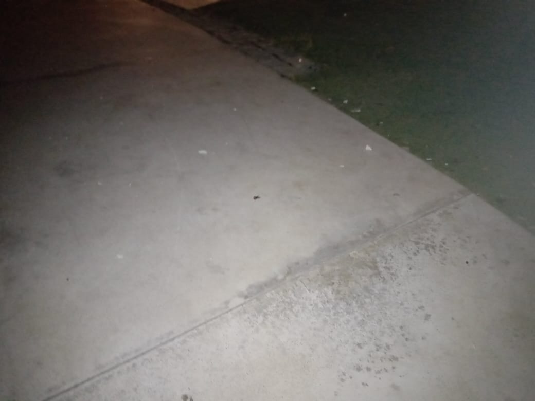 Una vez más “los imbéciles de siempre” ocasionaron daños en la Plaza Independencia