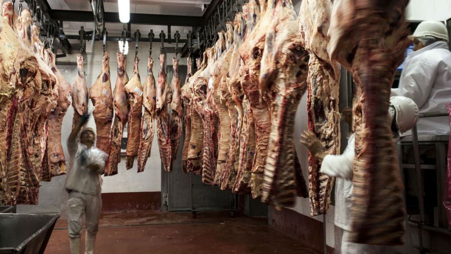 Alejandro Sammartino afirmó que la suspensión  de la exportación de carne argentina es un tema electoral