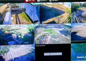 Instalaron cámaras de vigilancia  en los caniles