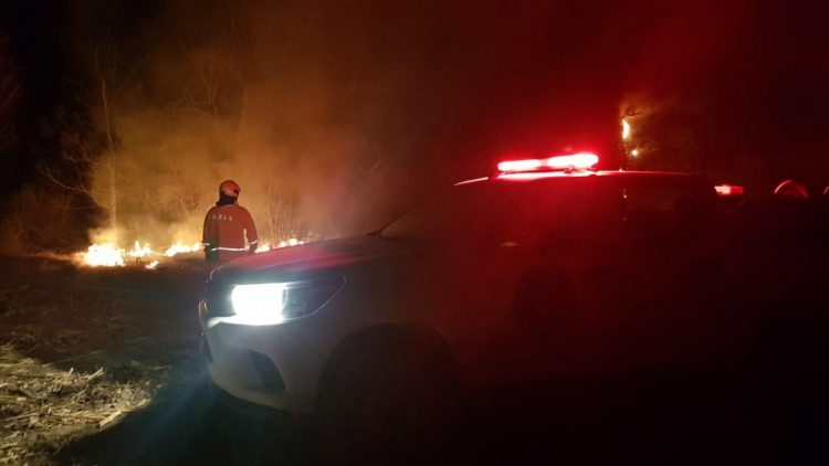 Ardieron pastizales en la zona rural de Las Varas