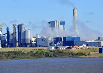 Alberto Venica: “En nuestro país los controles no funcionan por eso muchas empresas siguen contaminando”