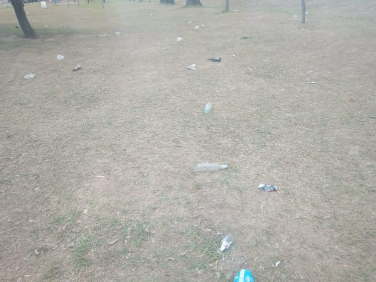 Vergüenza debería darles, así amaneció el Paseo del Caminante