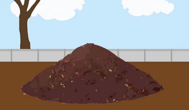 Para especialista ambiental el compostaje es la solución para reducir los residuos
