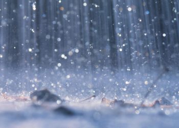 Llueve  parejo en toda la región