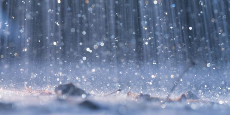 Llueve  parejo en toda la región