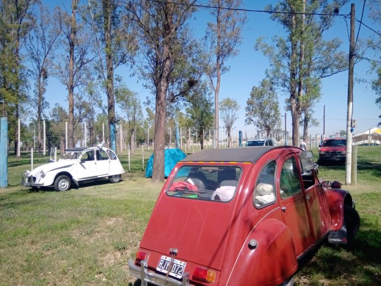Encuentro Citronero con visitantes de todo el país