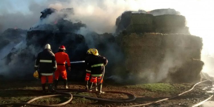 Incendio de gran magnitud en ex estancia Zanello (Actualización)