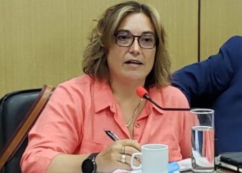 “Gill debería renunciar  a  su cargo de intendente  y llamar a  elecciones”