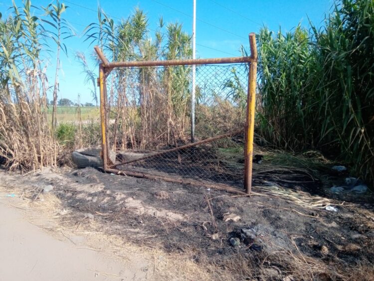 Intensa actividad de bomberos  durante  el fin de semana