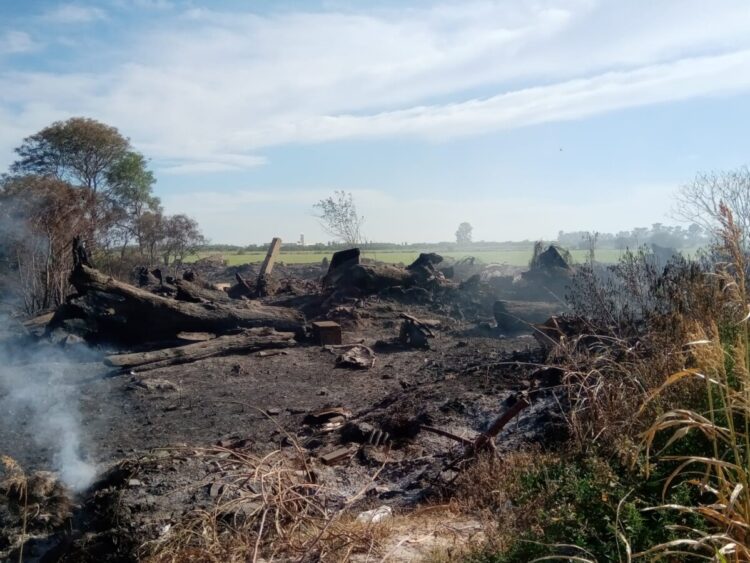 Intensa actividad de bomberos  durante  el fin de semana