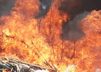 Intensa actividad de bomberos  durante  el fin de semana