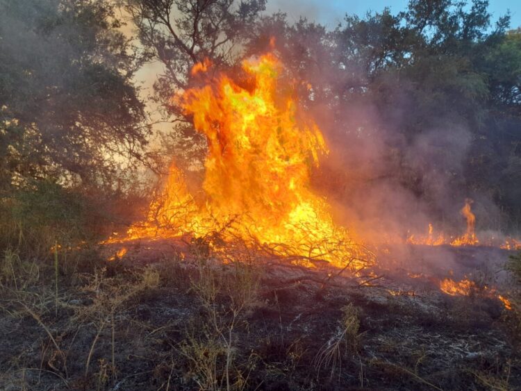 Bomberos combatieron un incendio de grandes proporciones en zona rural de San Agustín